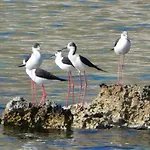 Guest house Akrotainaritis Gerolimenas