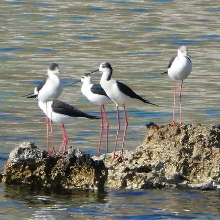 Гостевой дом Akrotainaritis Еролимин
